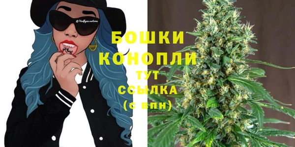 PSILOCYBIN Баксан