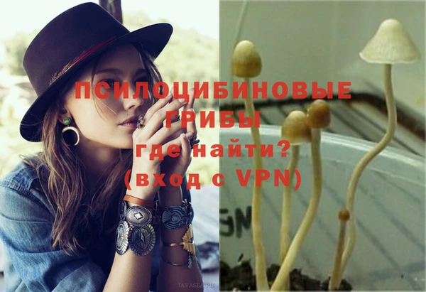 PSILOCYBIN Баксан
