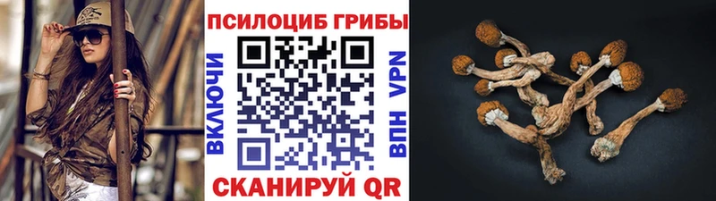 наркотики  мега зеркало  Галлюциногенные грибы GOLDEN TEACHER  Реж 